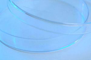 いろいろな抗原検査キットがあります