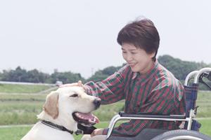 札幌市内の大腸疾患や検査の相談先