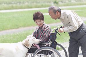 最新2025年版！博多の矯正歯科で理想の笑顔を手に入れるための完全ガイド